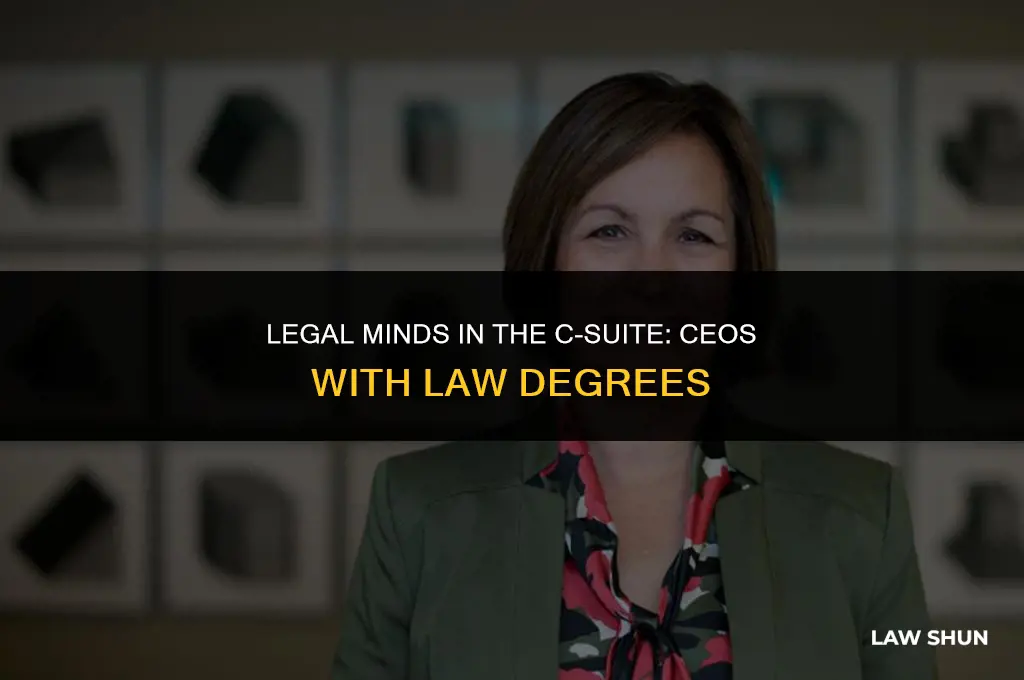 how many ceos have law degrees