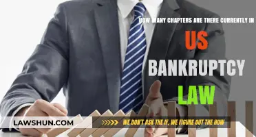 Understanding the Structure of US Bankruptcy Law: Current Chapter Count