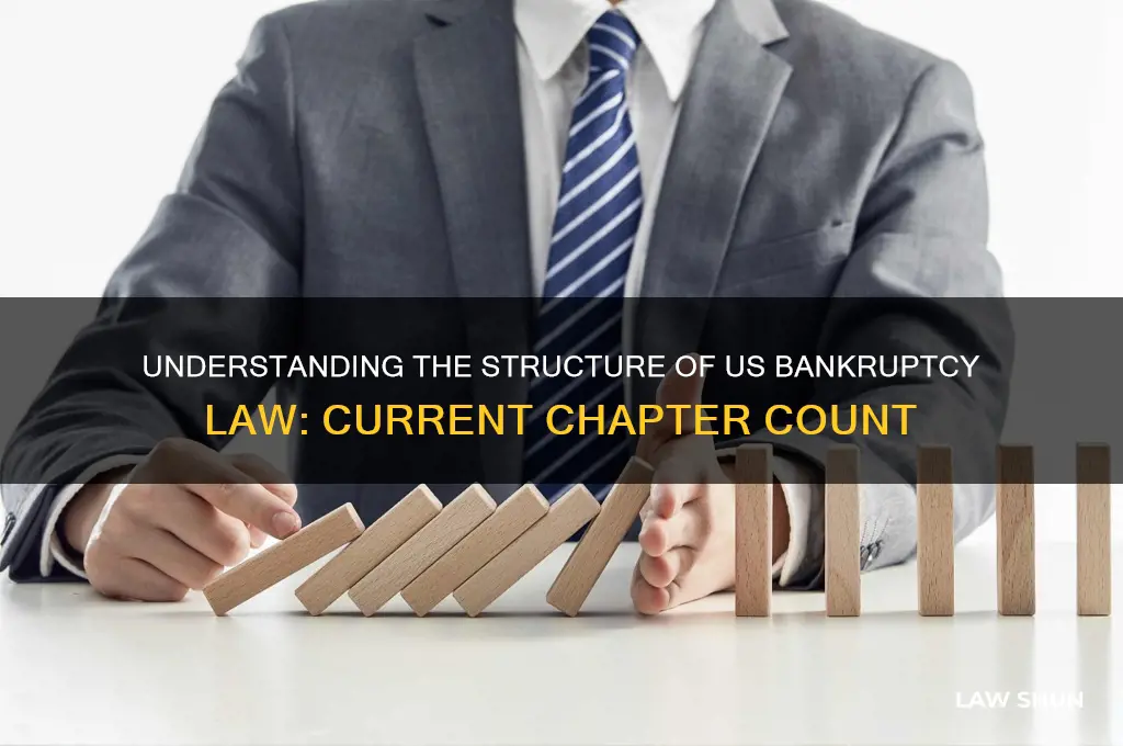 how many chapters are there currently in us bankruptcy law