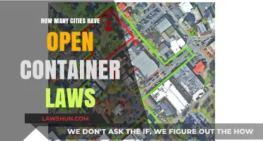 Exploring Open Container Laws: Which Cities Allow Public Drinking?