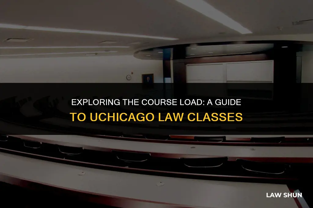 how many classes uchicago law take