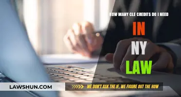 NY Law CLE Requirements: Understanding Your Mandatory Credit Needs