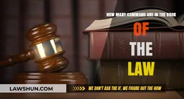 Exploring the Count of Commandments in the Book of Law