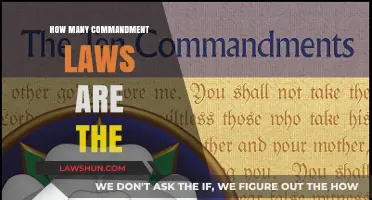 Exploring the Ten Commandments: A Comprehensive Guide to the Biblical Laws
