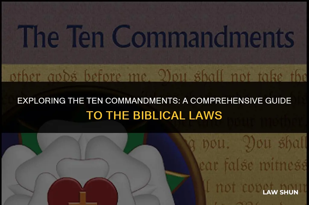 how many commandment laws are the