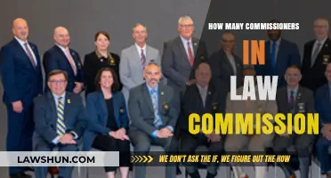 Understanding the Structure: Commissioners in the Law Commission
