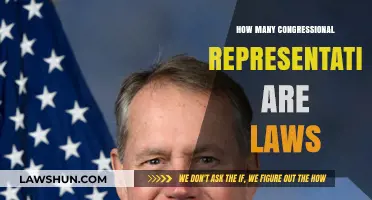Decoding the Legislative Labyrinth: Understanding Congressional Representation