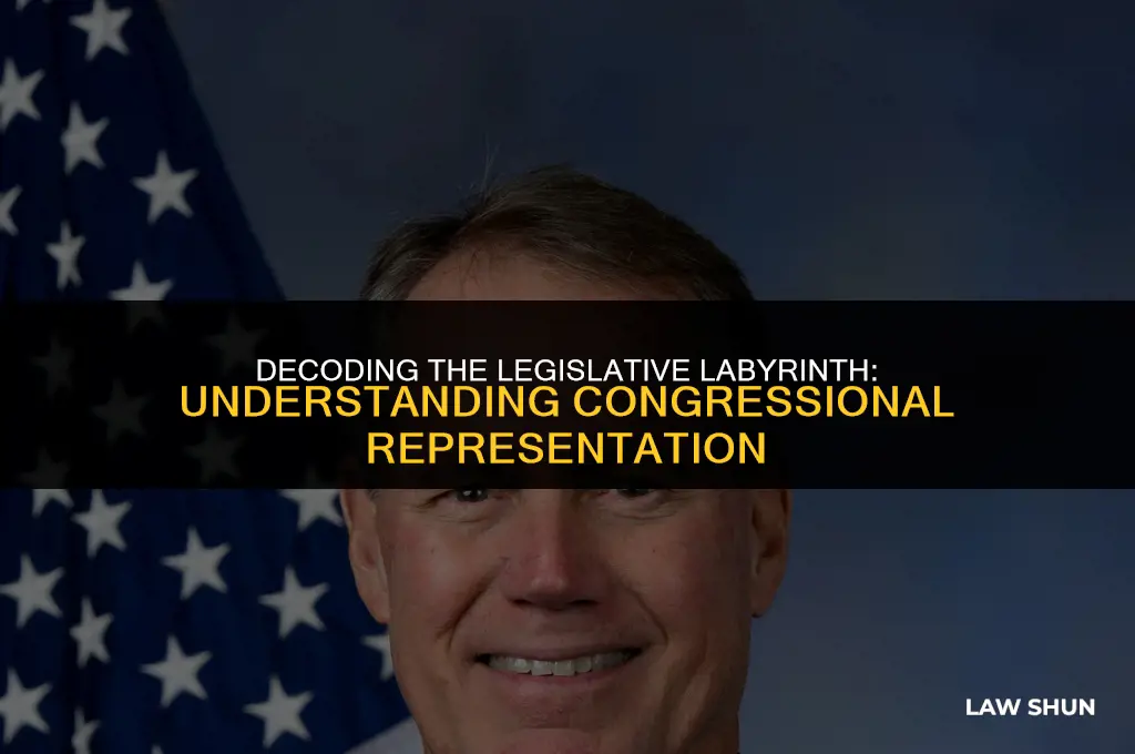 how many congressional representatives are laws