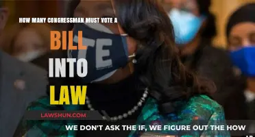 Understanding the Congressional Voting Process to Pass Bills into Law