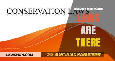 Exploring the Count: How Many Conservation Laws Govern Our Universe?