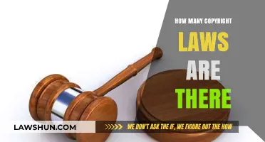 Exploring the Vast Landscape of Global Copyright Laws and Regulations