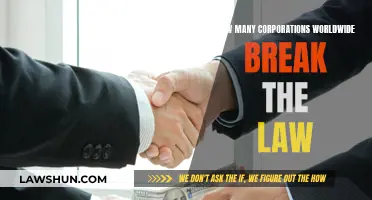 Breaking the Law: Global Corporations and Their Illegal Activities