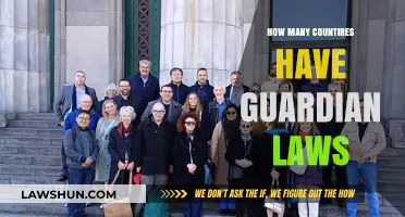 Exploring Global Guardianship: A Comprehensive Guide to International Laws