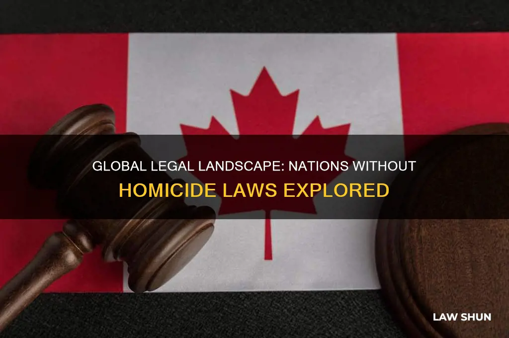 how many countries do not have laws against killing people