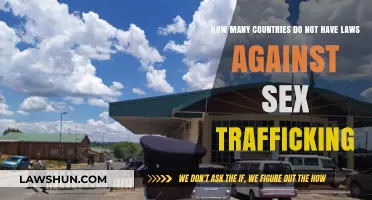 Global Sex Trafficking Laws: Which Nations Lack Legal Protections?