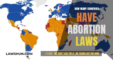 Abortion Laws: A Global Overview of Country Counts