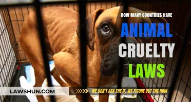 Global Animal Welfare: How Many Countries Have Cruelty Laws?