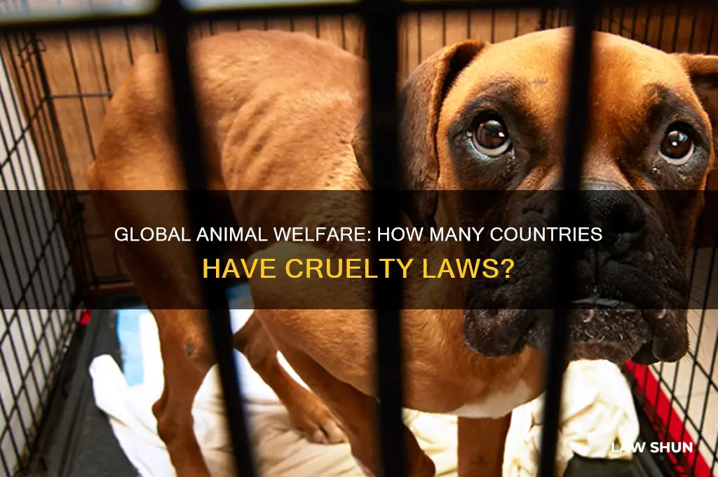 how many countries have animal cruelty laws
