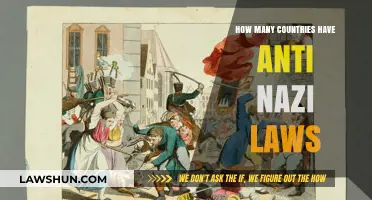 Anti-Nazi Laws: How Many Countries Have Them?
