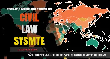 Civil and Common Law Systems: A Global Overview