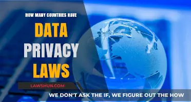 Global Data Privacy Laws: How Many Countries Protect Personal Information?