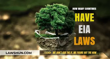 Global Environmental Impact Assessment Laws: A Comprehensive Country Overview