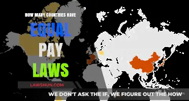 Global Gender Pay Gap: Which Nations Enforce Equal Pay Laws?