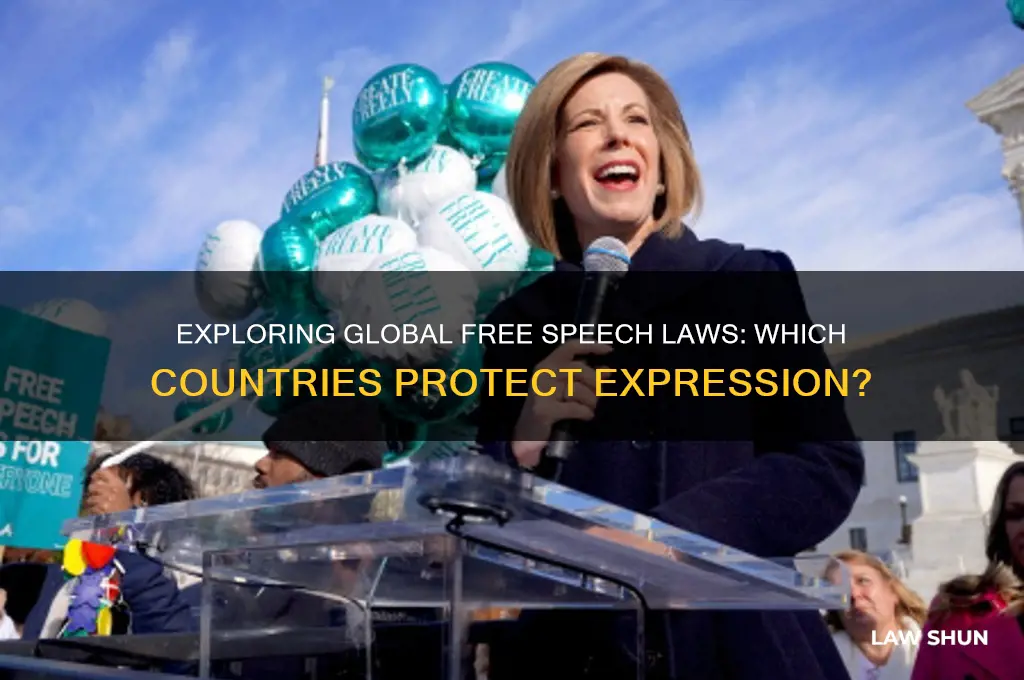 how many countries have free speach laws