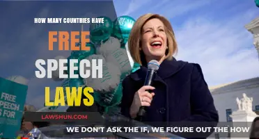 Global Free Speech Laws: Which Nations Protect Expression Rights?
