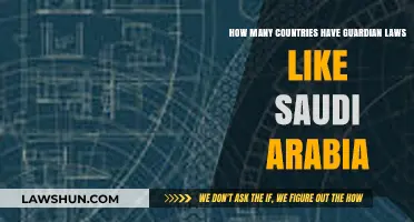 Exploring Global Guardian Laws: Which Nations Mirror Saudi Arabia's System?