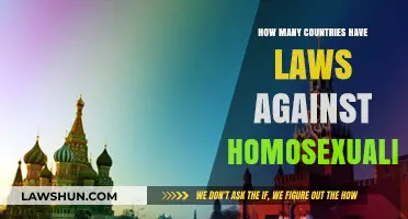 Global LGBTQ+ Rights: Countries Criminalizing Homosexuality and Their Impact