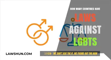Global LGBT Rights: How Many Nations Criminalize Queer Identities?