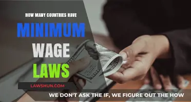 Global Minimum Wage Laws: How Many Countries Have Them?