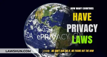 Global Privacy Laws: How Many Countries Protect Personal Data?