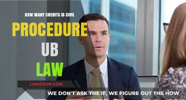 Understanding Civil Procedure Credit Requirements at UB Law School