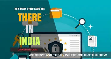 India's Comprehensive Cyber Law Framework