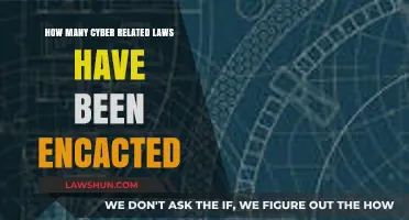 Exploring the Growing Number of Enacted Cyber Laws Globally