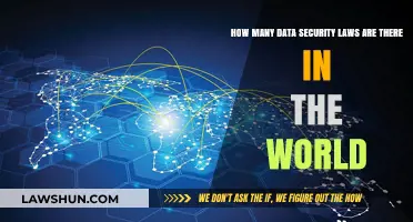 Global Data Security Laws: A Comprehensive Overview of Worldwide Regulations