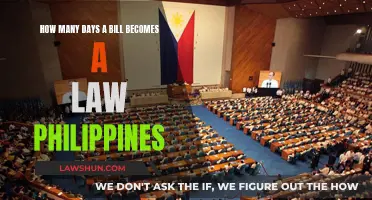 The Journey of a Bill to Law in Philippines