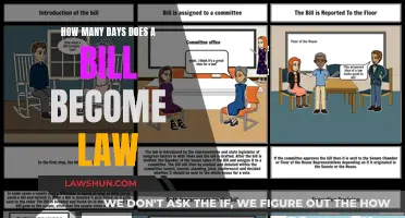 The Journey of a Bill to Law Explained