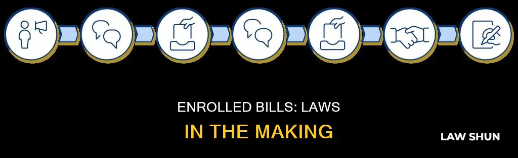 how many days does an enrolled bill become a law