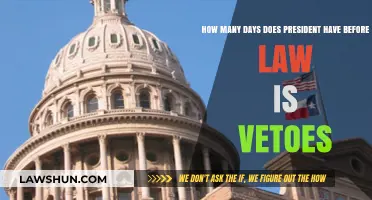 Presidential Veto Timeline: Understanding the Deadline for Law Review
