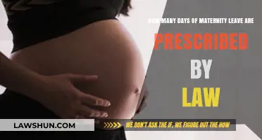 Understanding Legal Maternity Leave Duration: What the Law Prescribes