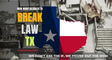 Understanding Texas' Decibel Law and Your Rights