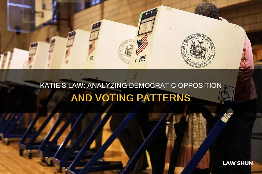 how many democrats votes against katies law