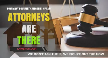 Exploring the Diverse Legal Specialties: Attorney Categories