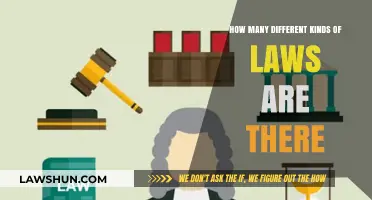 Exploring the Diverse Branches of Law and Order