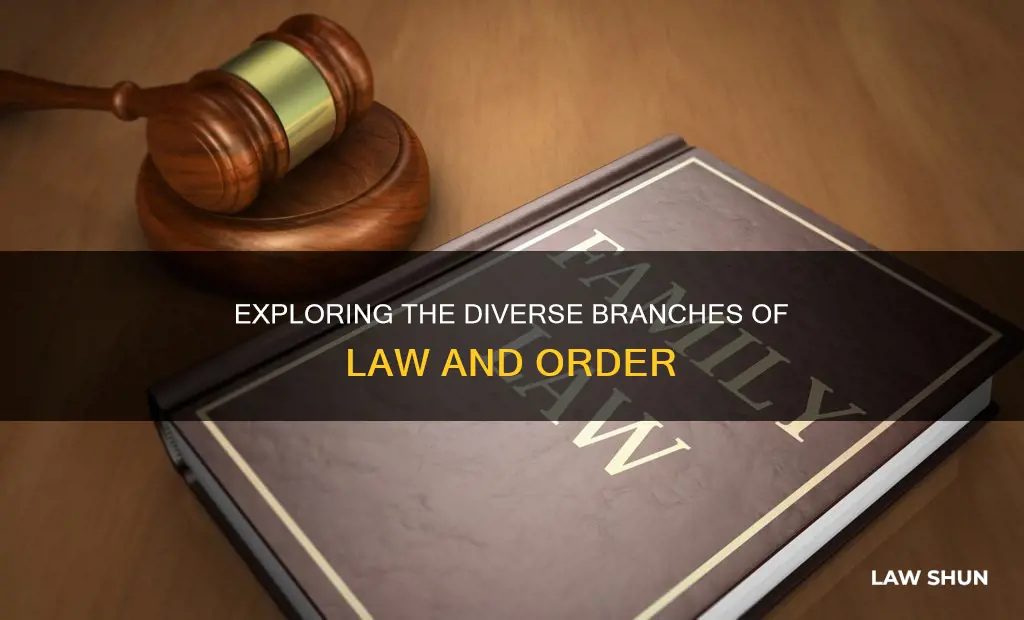 how many different kinds of laws are there