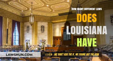 Louisiana's Unique Laws: How Many Exist?