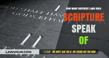Scripture's Many Laws: How Many?